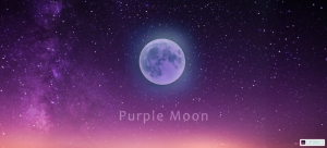 Purple Moon(パープルムーン)