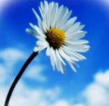 光太郎(こうたろう)先生