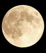 千琴(ちこと)先生