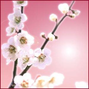 瞳 麗(ひとみ れい)先生