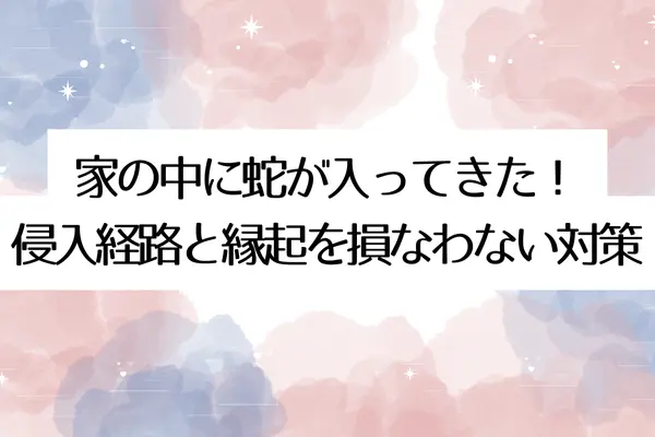 家の中に蛇が入ってきた!侵入経路と縁起を損なわない対策