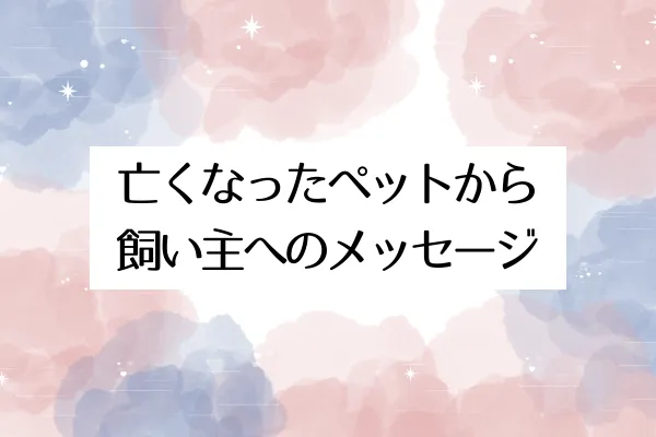 亡くなったペットから飼い主へのメッセージ