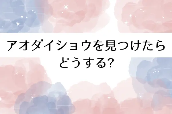 アオダイショウを見つけたらどうする?縁起を活かす方法