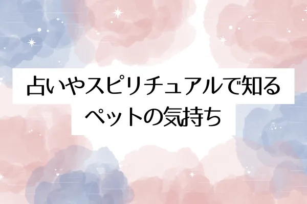 占いやスピリチュアルで知るペットの気持ち