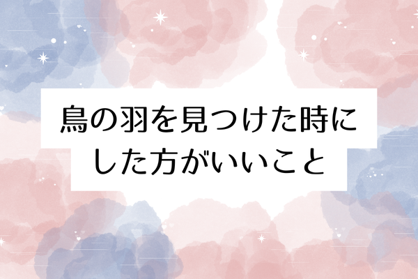 鳥の羽 スピリチュアル