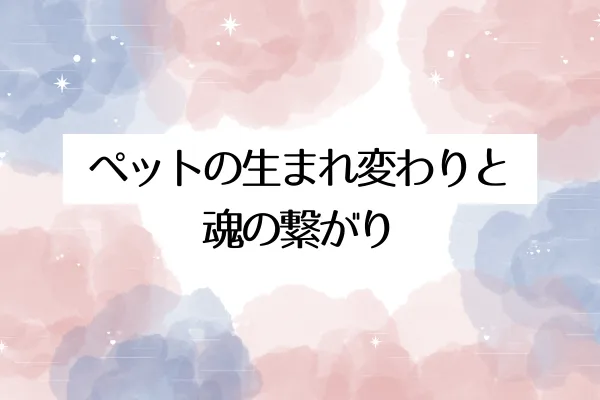 ペットの生まれ変わりと魂の繋がり