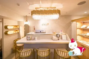 名古屋の占いカフェ E-majo