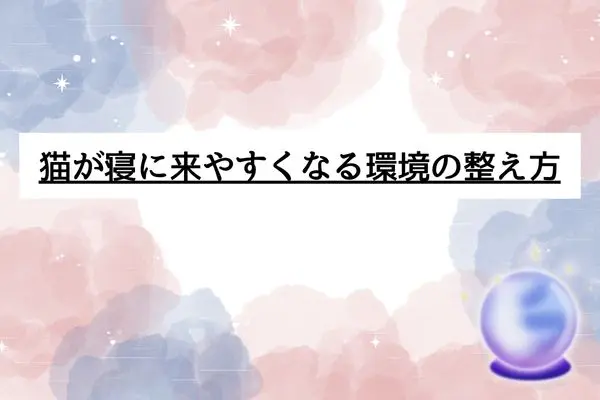 猫 一緒に寝る スピリチュアル