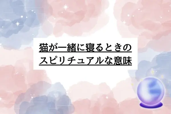 猫 一緒に寝る スピリチュアル