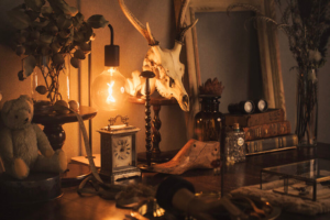 札幌占い箱舟堂