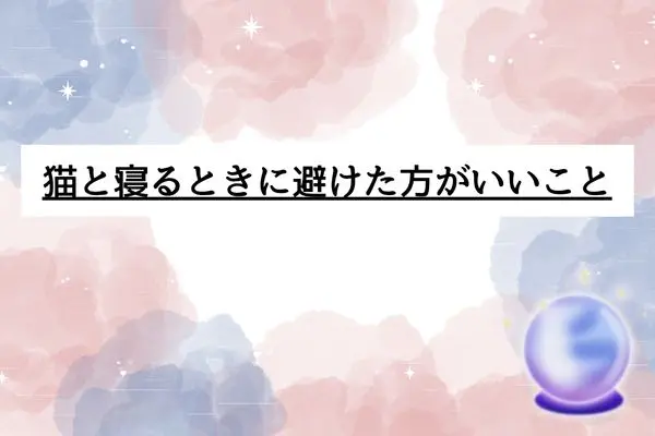 猫 一緒に寝る スピリチュアル