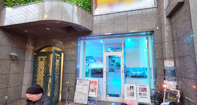 占い館 天使のうさぎの詳細