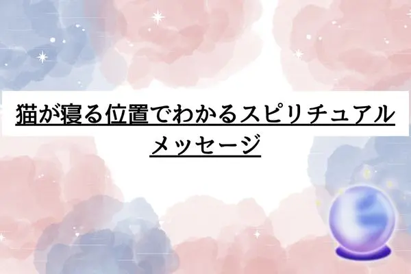 猫 一緒に寝る スピリチュアル