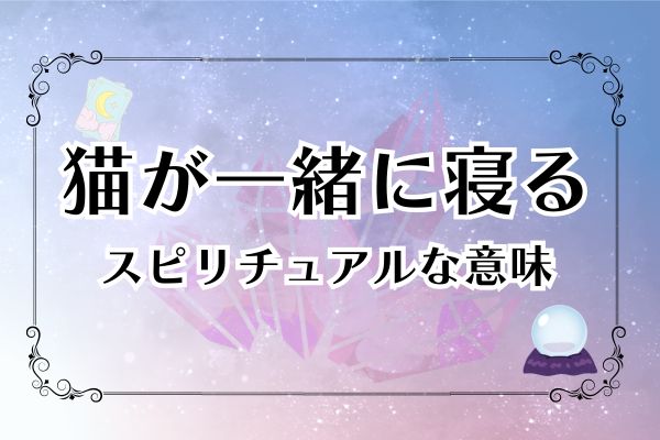 猫が一緒に寝るスピリチュアルな意味