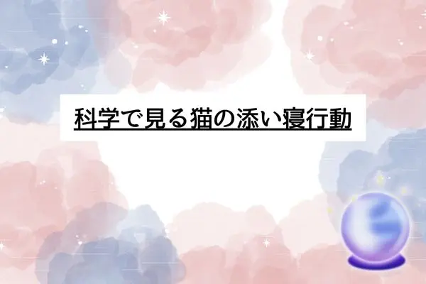 猫 一緒に寝る スピリチュアル