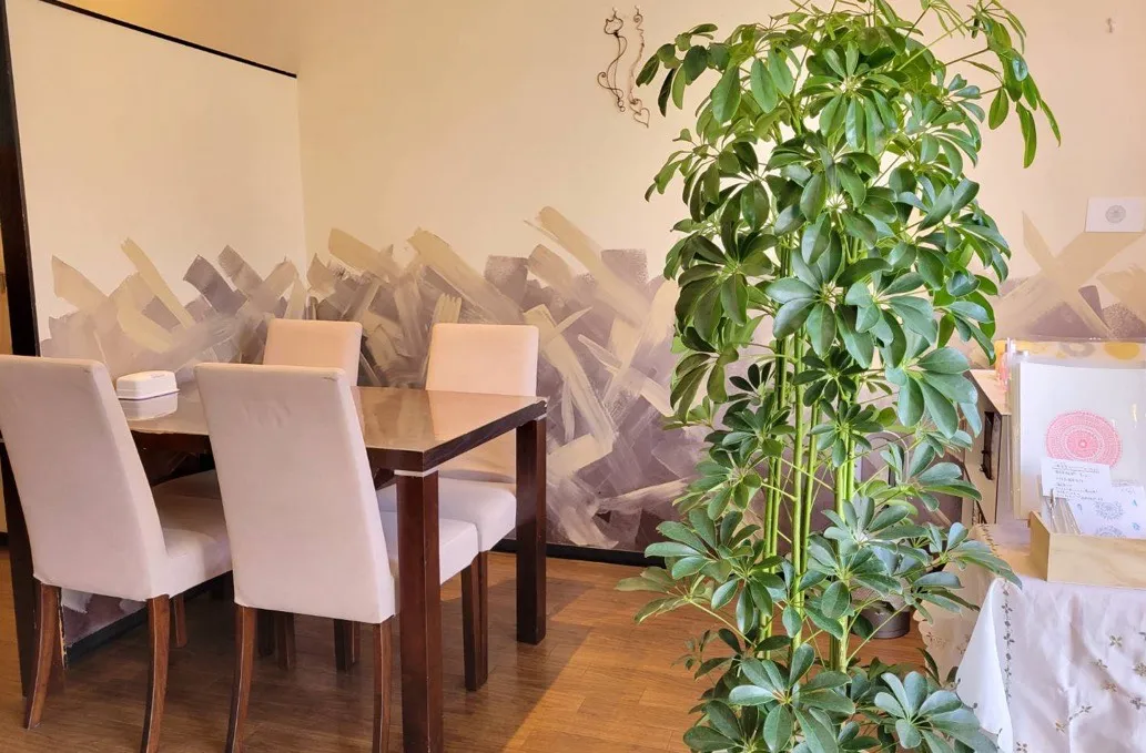 占い FLAQSの詳細