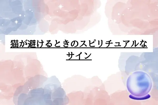 猫 一緒に寝る スピリチュアル