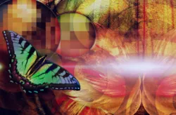 広島占い館★広島駅前エールエール1階の占いコーナー