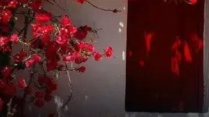 Sisi-シシィ-先生｜倉敷で評判の女性占い師【スピリチュアルカウンセリング・カード】