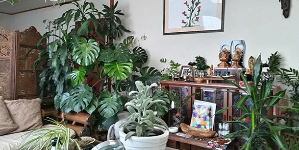 占い処 龍の爪の店舗情報